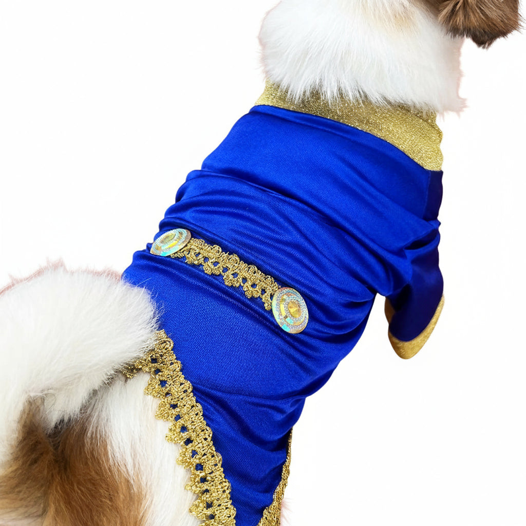 Disfraz Para Mascotas Príncipe